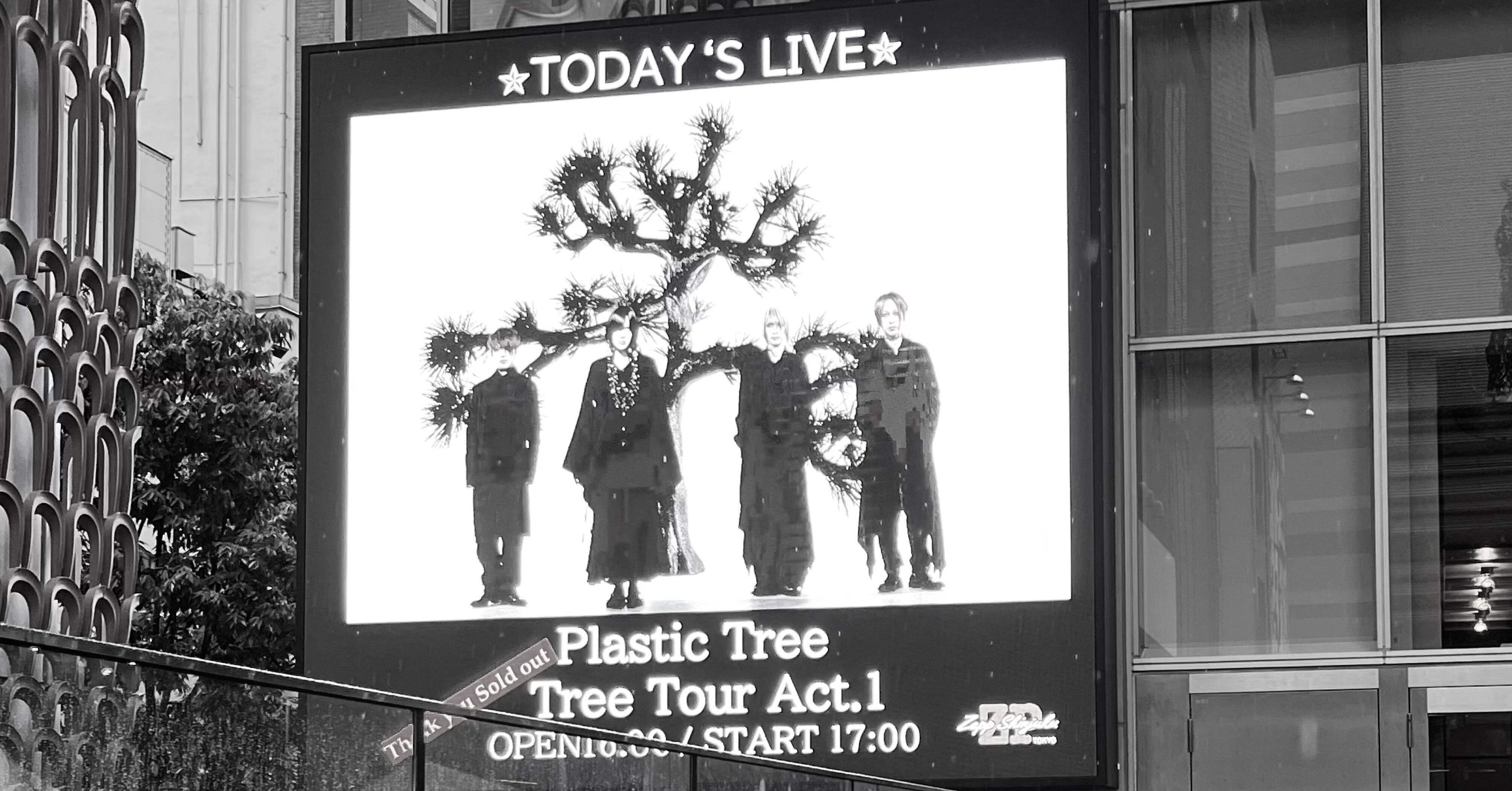 2025年6月14日 Plastic Tree Phylogenetic Tree Tour Act.1 -a piece