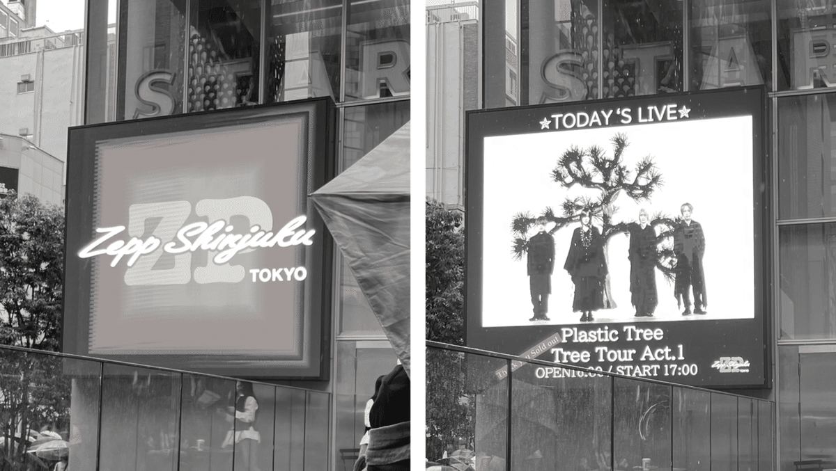 Plastic Treeツアーパンフレット49冊セット zero配布CD付き 2025