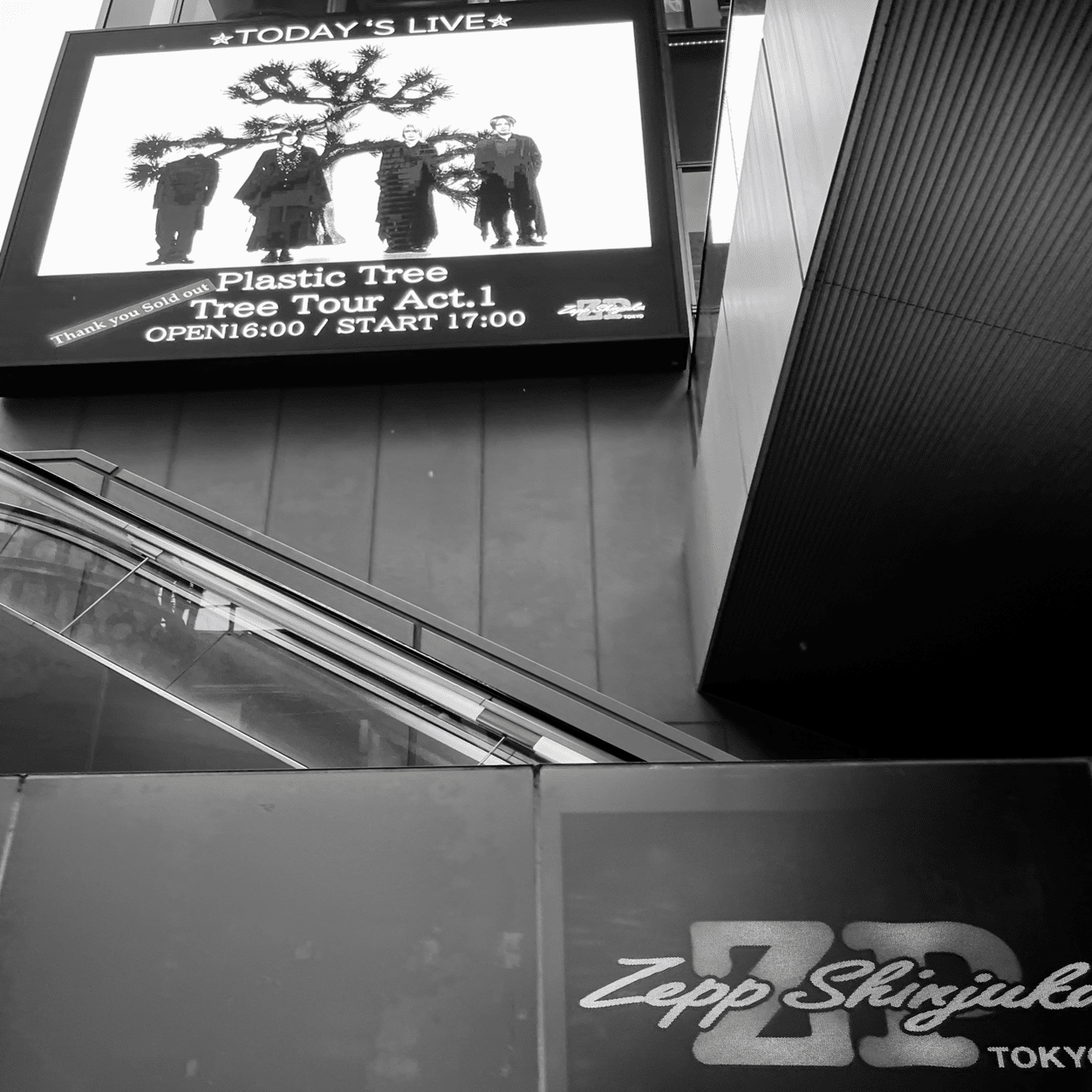 2025年6月14日 Plastic Tree Phylogenetic Tree Tour Act.1 -a piece