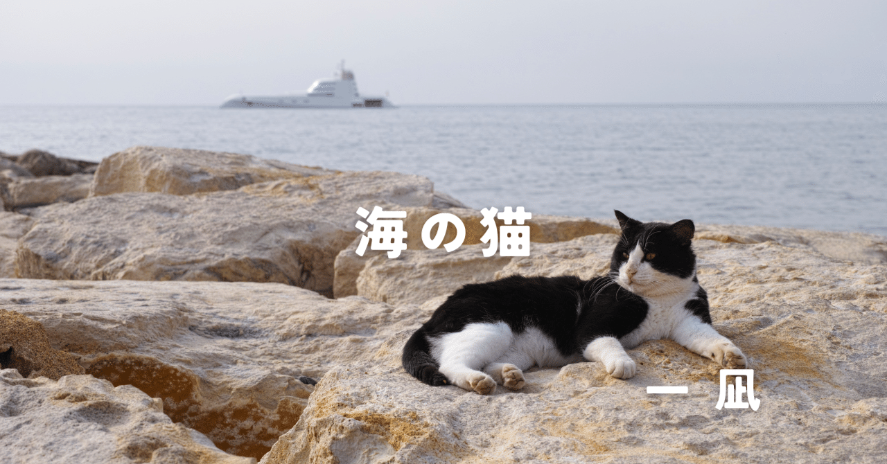 tw様予約①絵画「猫の背中に何かある〜日本の夏の風物詩／モロッコ／スウェーデン」 tw様予約①絵画「猫の背中に何かある〜日本の夏の風物詩