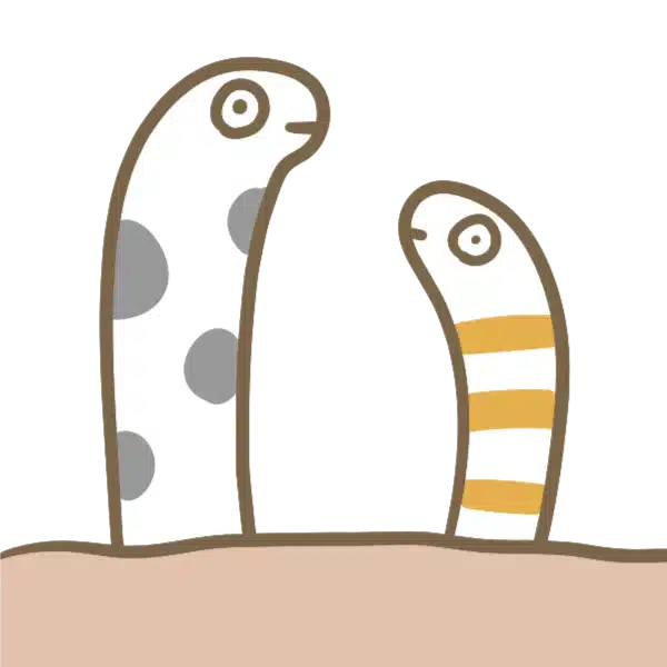 天塚ナオ