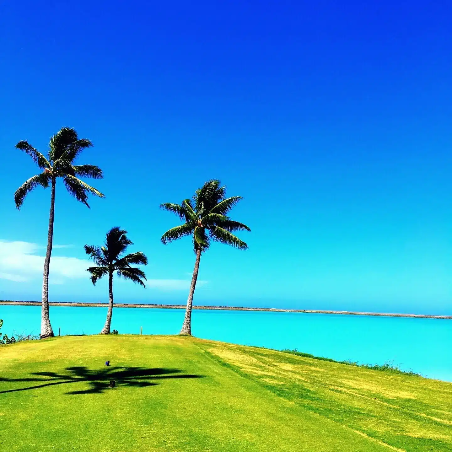 kokoro to Hawaii