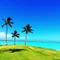 kokoro to Hawaii