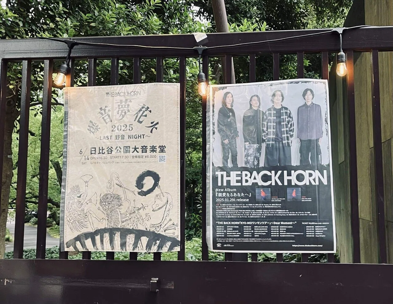 THE BACK HORN 爆音夢花火 2025-LAST 野音 NIGHT-｜深夜のコネチカール