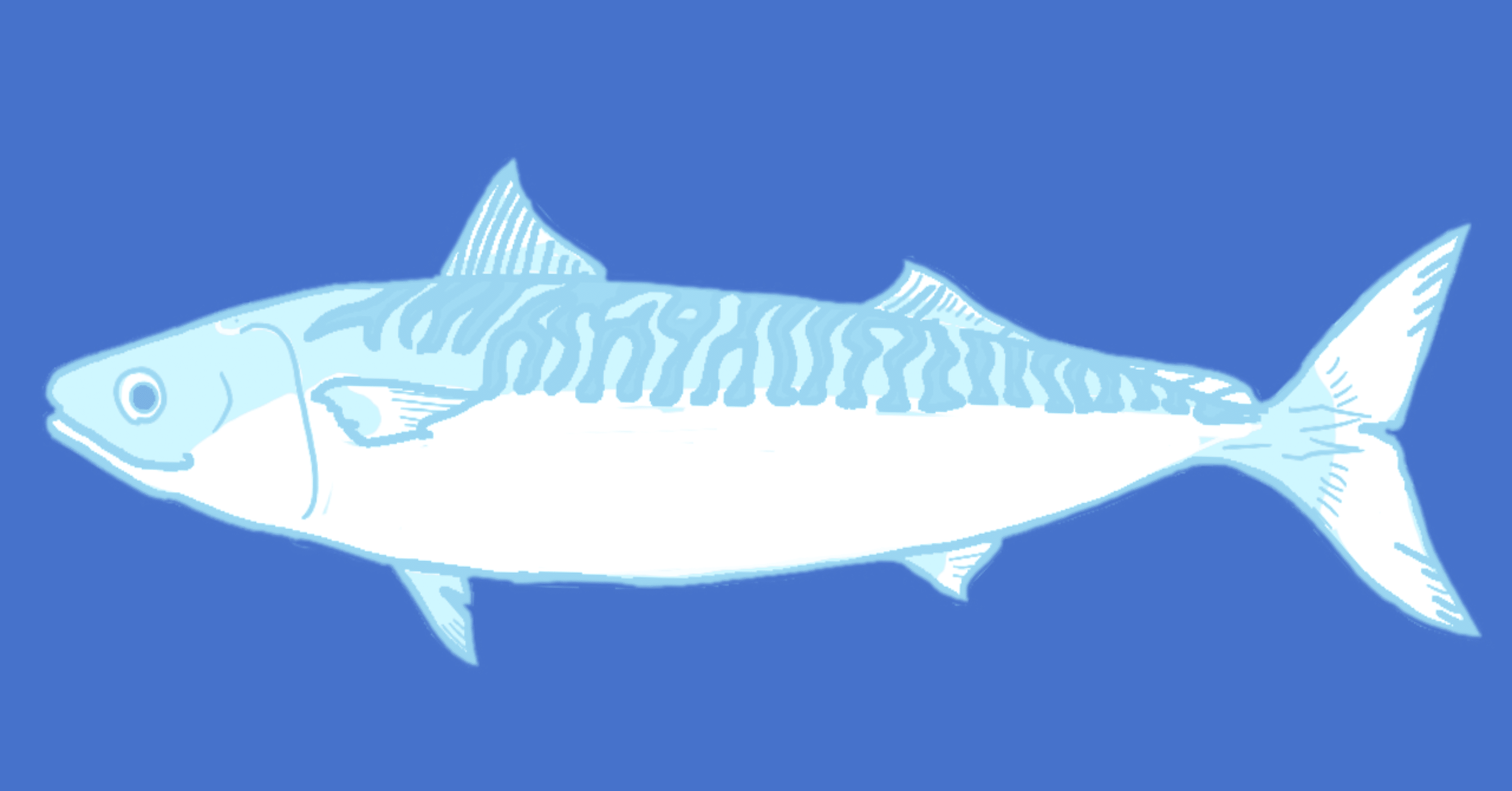 ルル・ミラー『魚が存在しない理由』Lulu Miller “Why Fish Don't