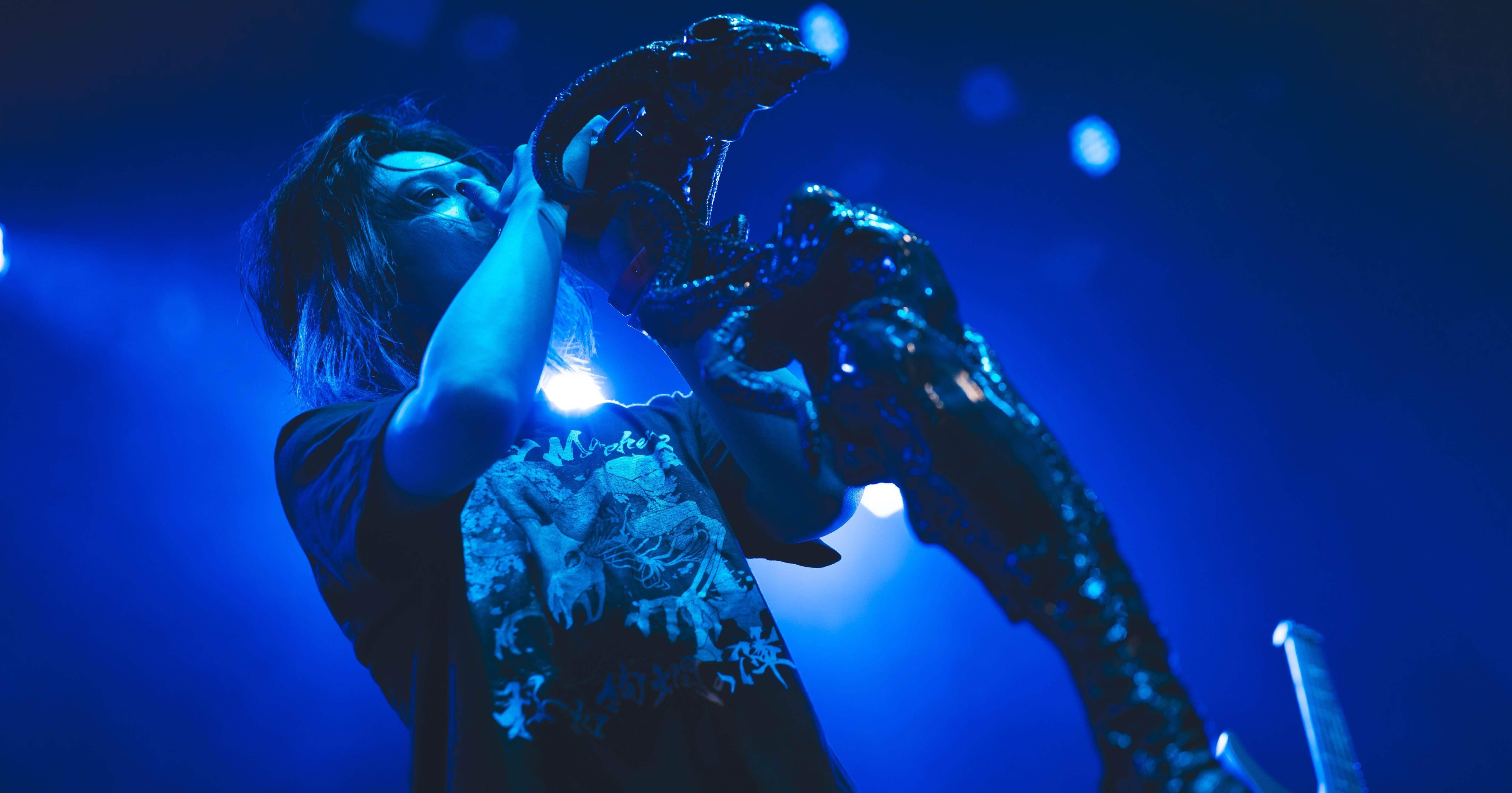 桜花絢爛の陣 福岡ありがとう｜Unlucky Morpheus