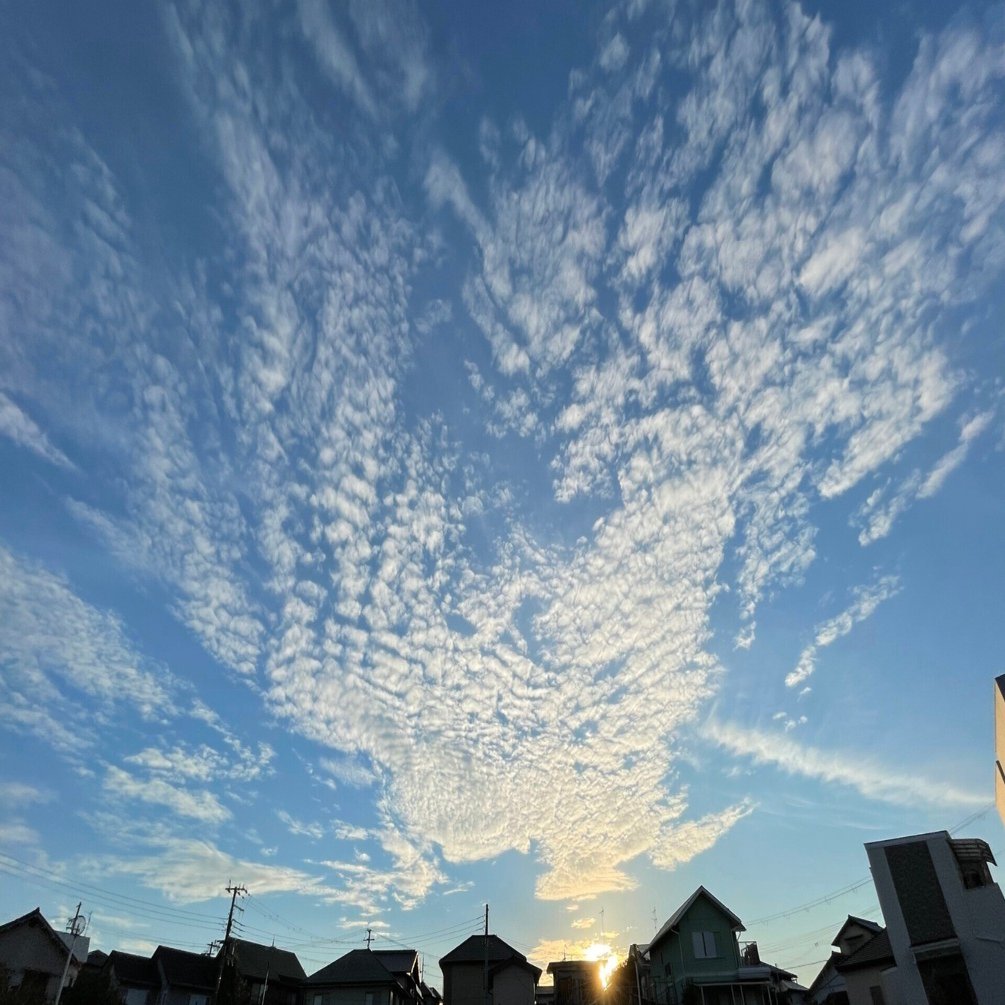 雲はアートだ！選りすぐりの朝陽を浴びる雲編｜クージー