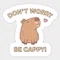 Don't worry be かっぴー