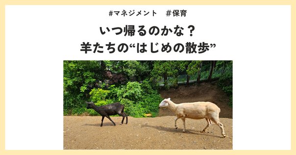004 羊に囲まれて｜加藤節雄