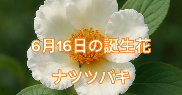6月16日の誕生花🌸｜篤也響究拓光／トクナリヒビキタクミ