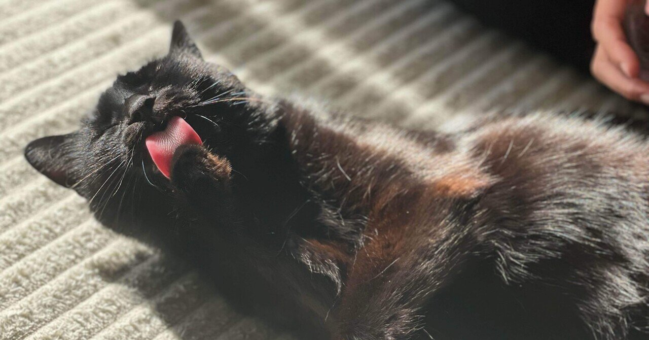 白猫と黒猫｜ 冬月剣太郎