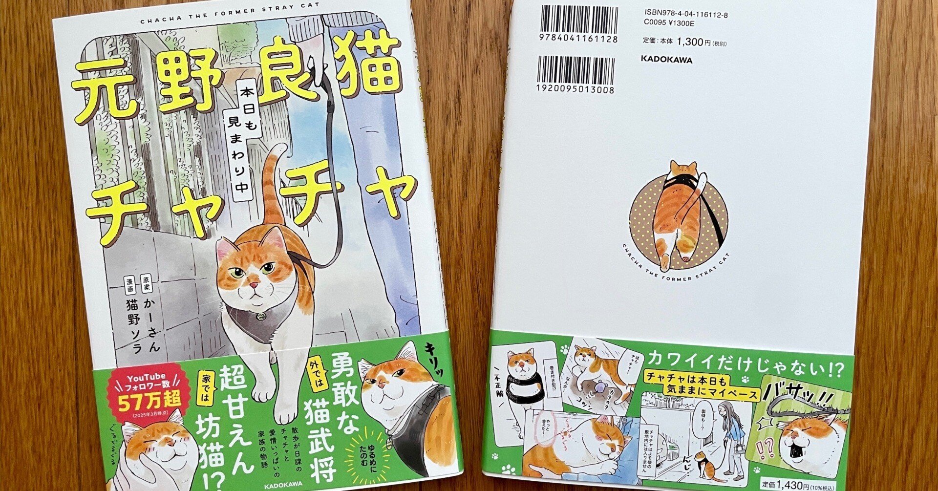 あきらめ悪くてよかった。人生初のコミック本。｜猫野ソラ