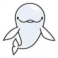 Sachi