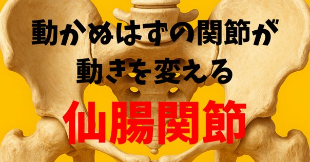 仙腸関節 評価とアプローチ DVD ME255-S 実技映像付】明日から使える仙腸関節の評価とアプローチ―誰もが