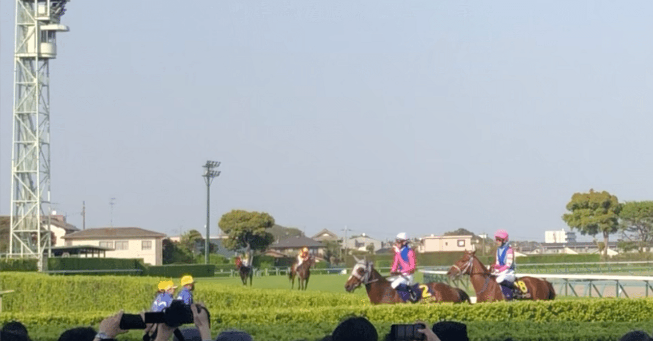 サインは「昭和」で合っていたみたい？（宝塚記念回顧）｜稲庭うどん