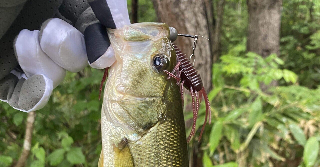 バス釣りアドバイス（チャターの速度）｜U［Blind Alley］