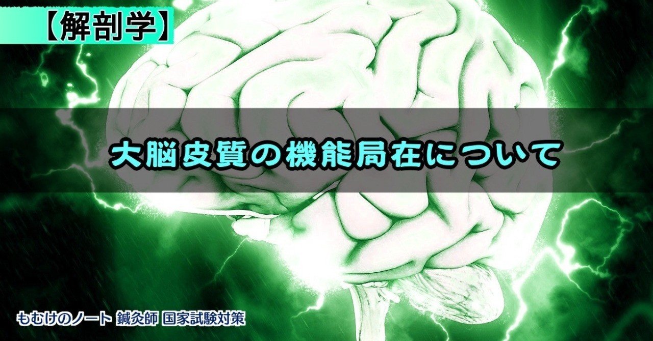 解剖学 図解 イラスト とゴロあわせで簡単に覚える 大脳皮質の機能局在 森元塾 国家試験対策 Note 解剖学 図解 イラスト とゴロあわせで簡単に覚える 大脳皮質の機能局在 森元塾 国家試験対策 Note