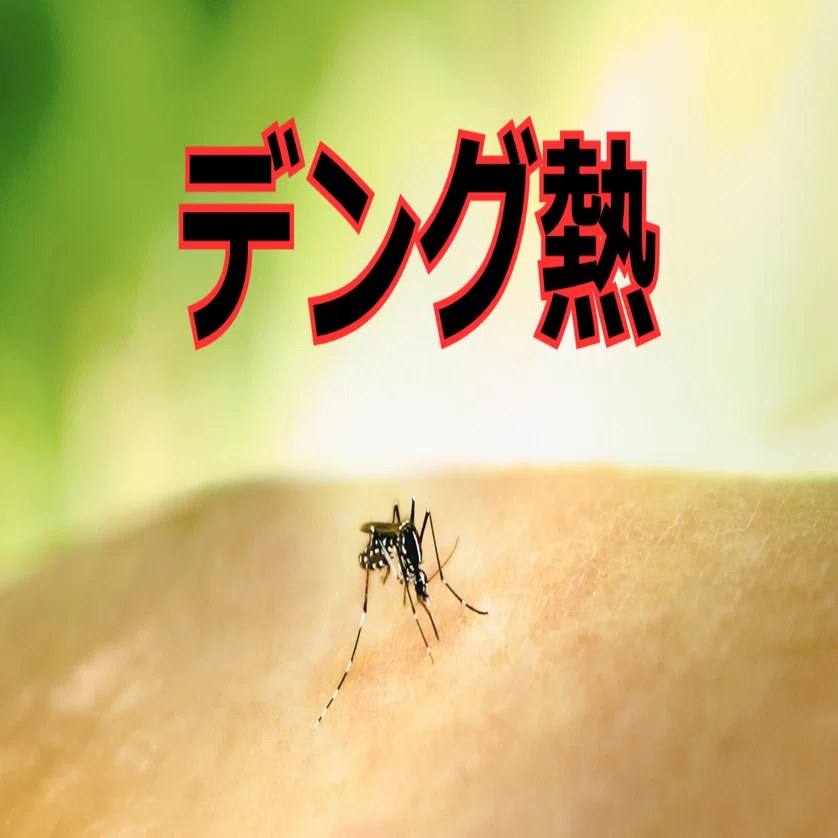 海外赴任生活トラブル集① ｜Junsaのセミリタイア実験室
