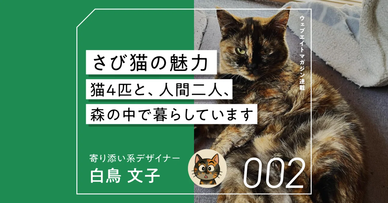 さび猫の魅力 ― 猫4匹と、人間2人、森の中で暮らしています｜ウェブエイト