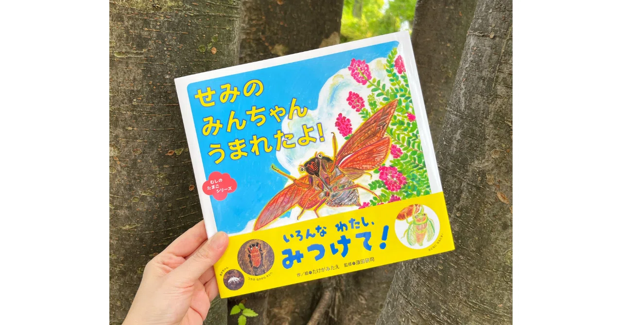みなさんは もう みんちゃんに会えましたか？ 『せみの みんちゃん