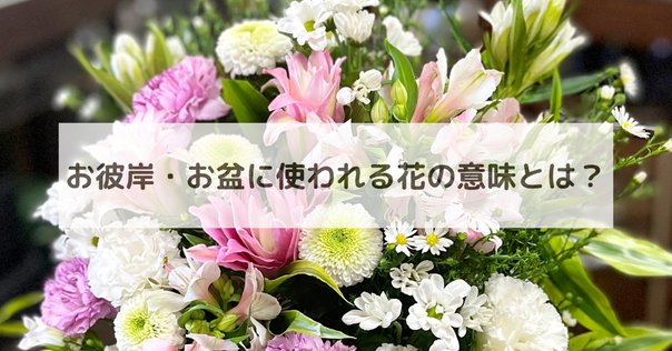 曼珠沙華 天界から降り注ぐ吉兆を表す花｜EGGSEED