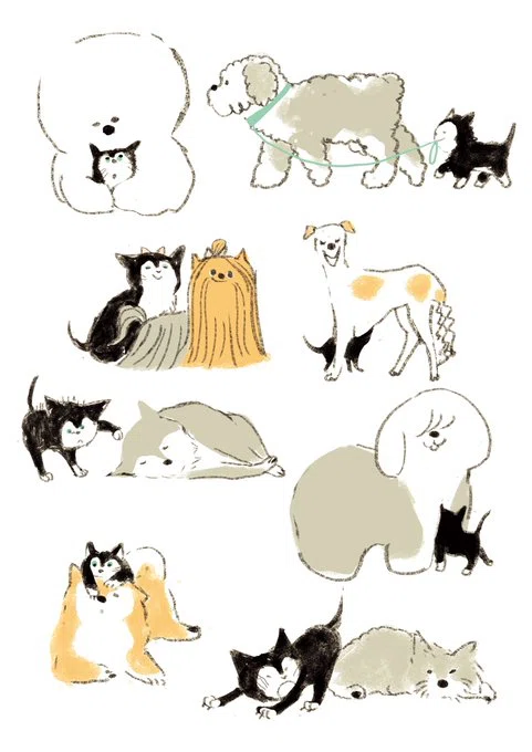 画像