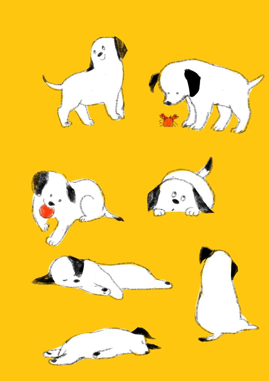 画像