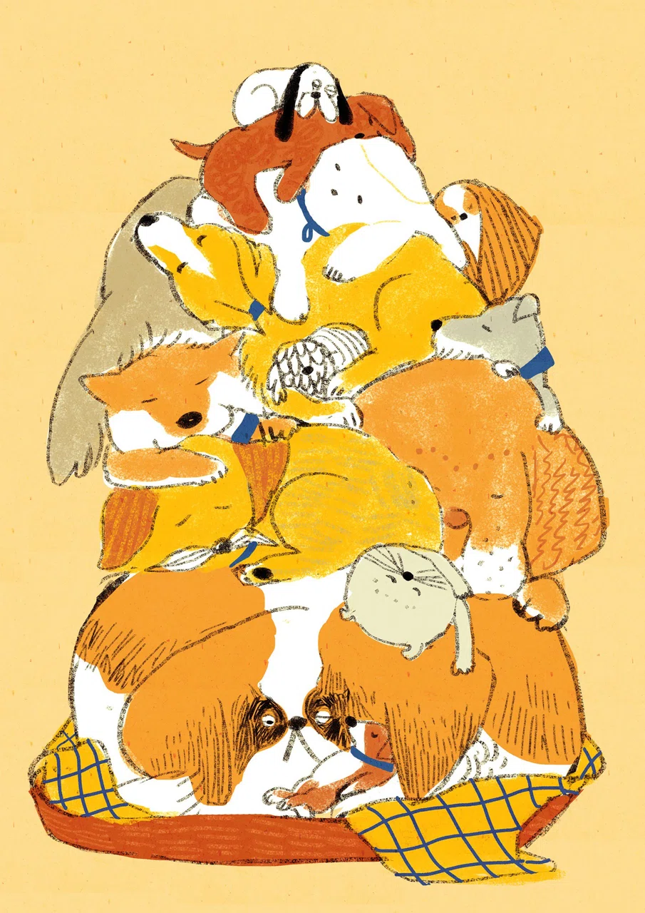 画像