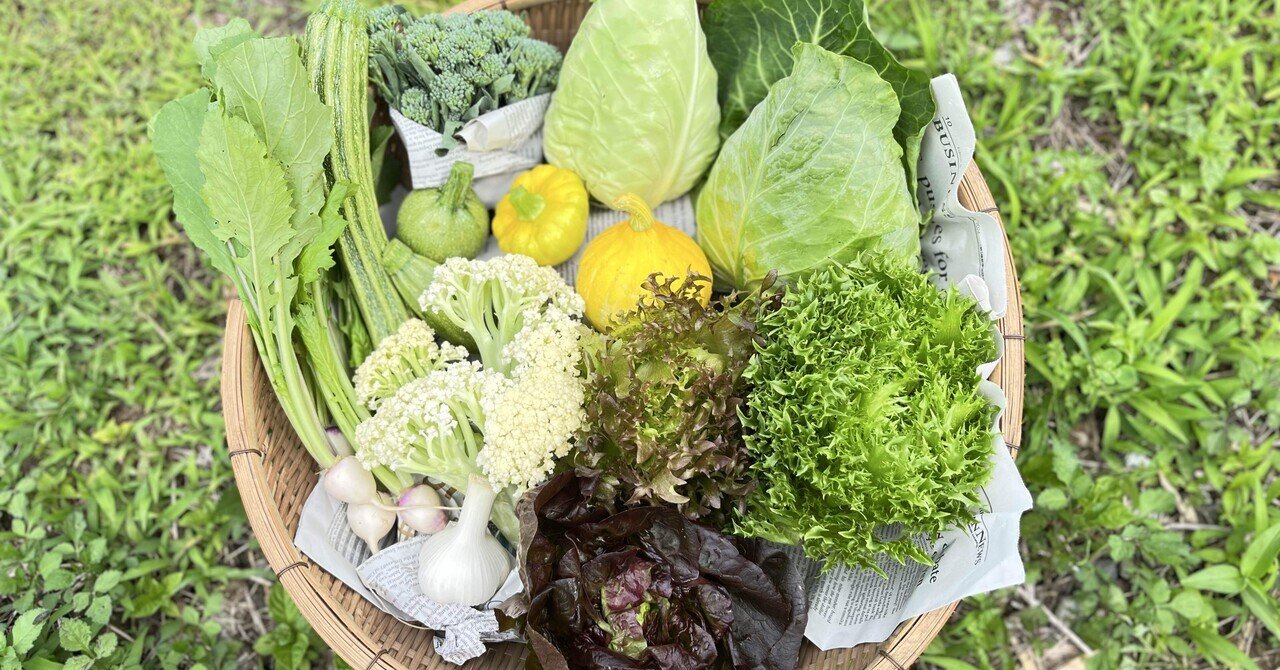 小さな野菜農家の6月の「厚利少売」＜とんがった農家の作る