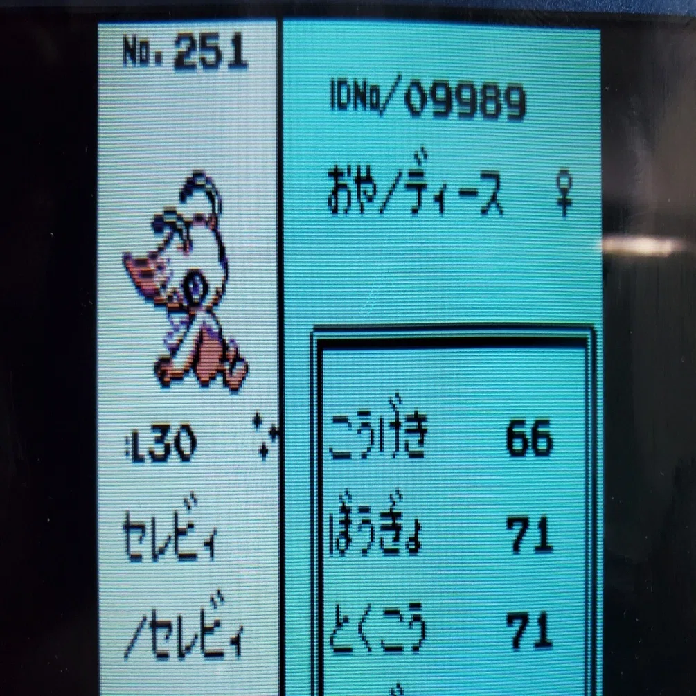 色違いセレビィきたー✨｜ディース