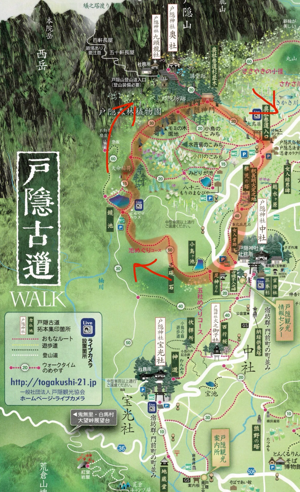 ▲01)【1点限り!】【希少本】紫雲の彼方/神々は招く/霊峰飯綱山戸隠山縁起/戸隠公明院/昭和43年/宗教/A 雨上がり、戸隠の森を走ってきました｜アマネ＠飯綱高原