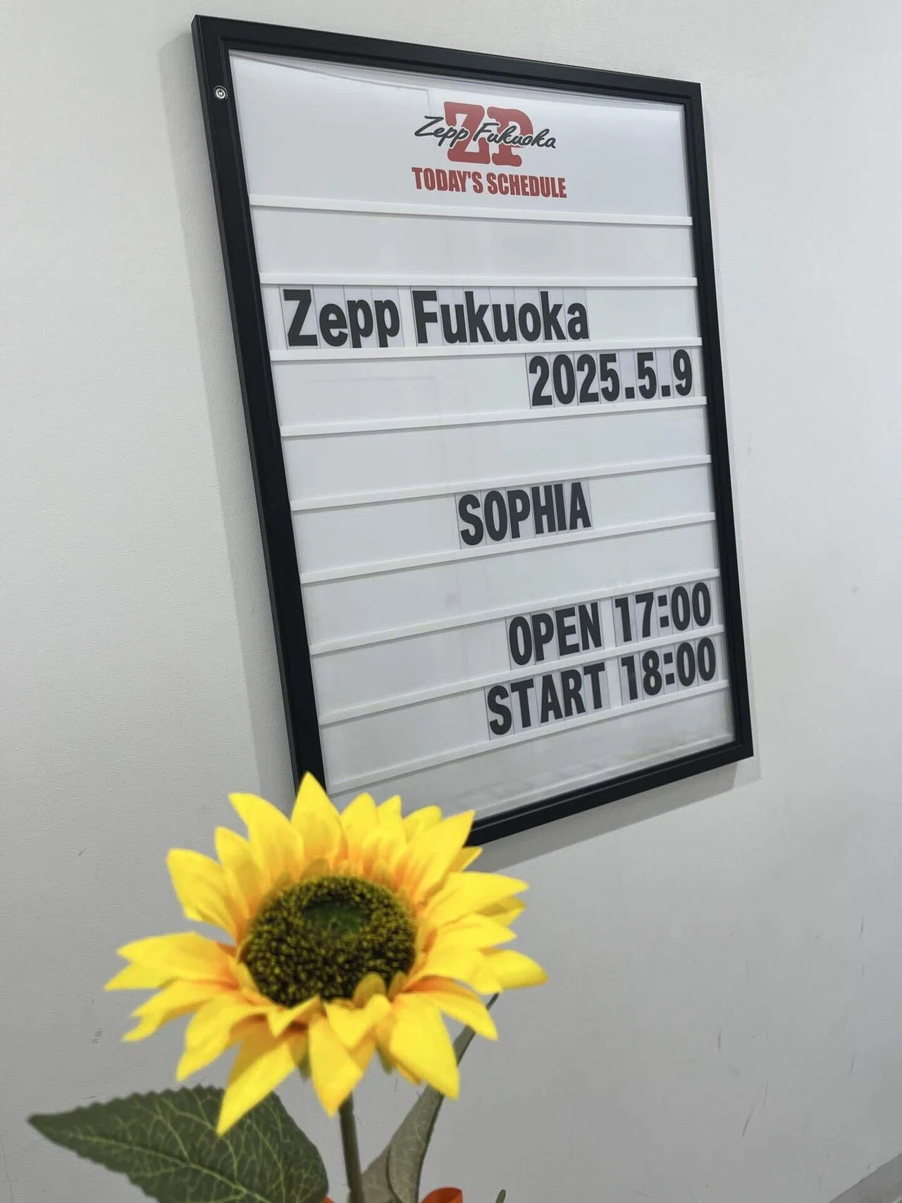 SOPHIA ツアー2025参戦記録。｜82