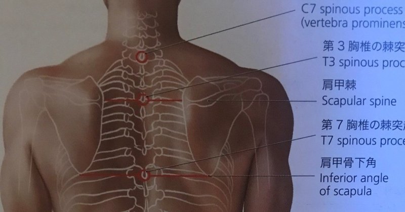 メンタル面と筋膜と １ 染谷清行 オステオパス パーソナルトレーナー Note