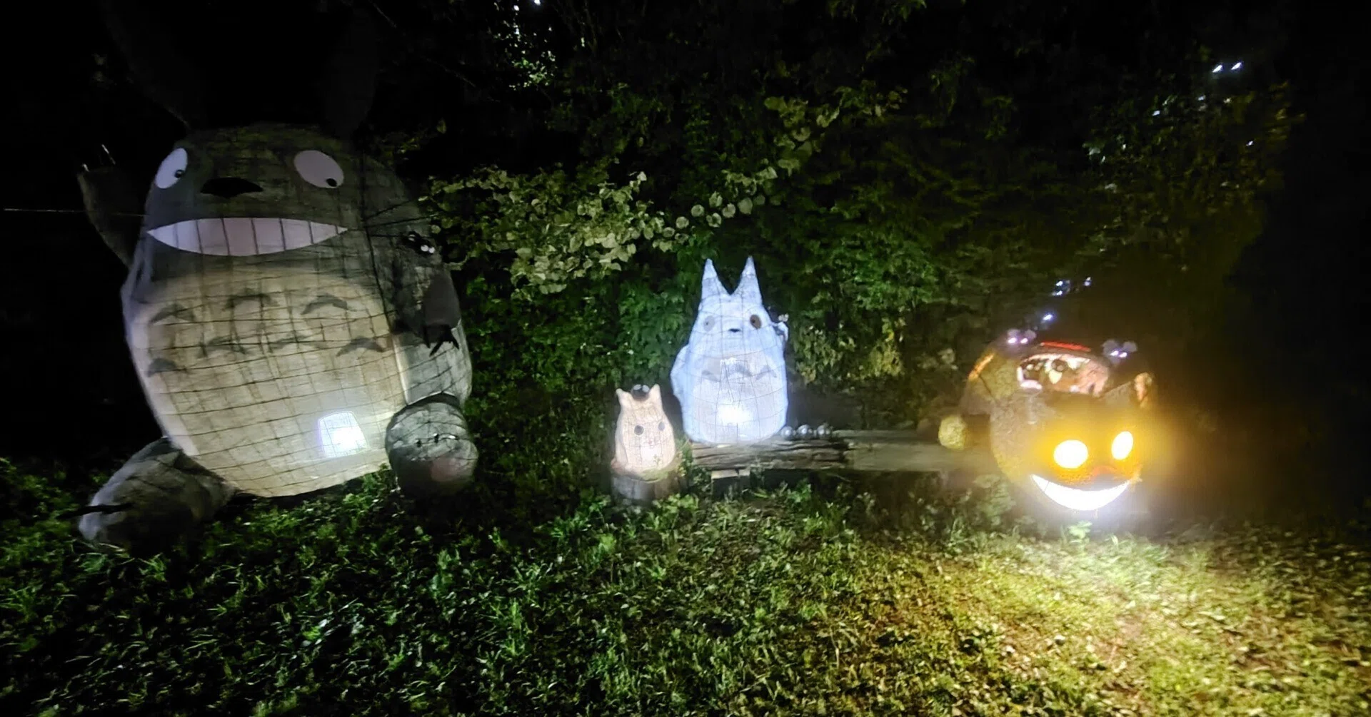 トトロを見に東武東上線の森林公園検収区までサイクリングしてきました