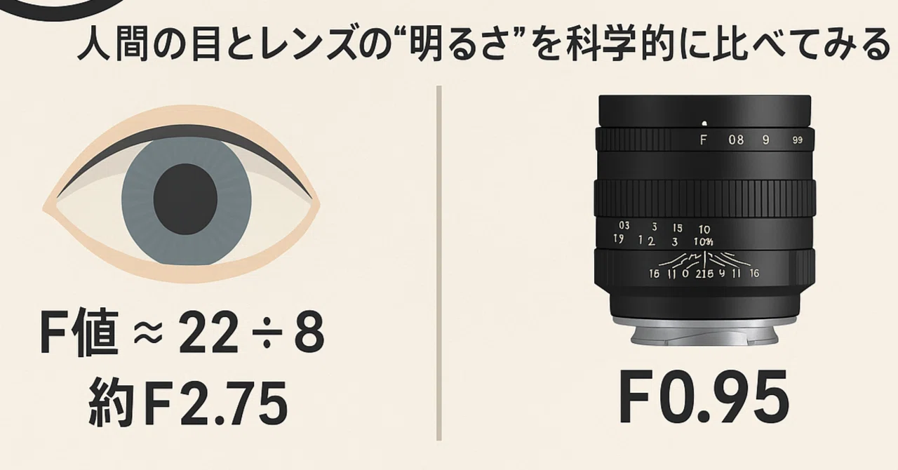 ?「目はF1.0相当」ってどういう意味？｜井上写真店 INOUE PHOTO