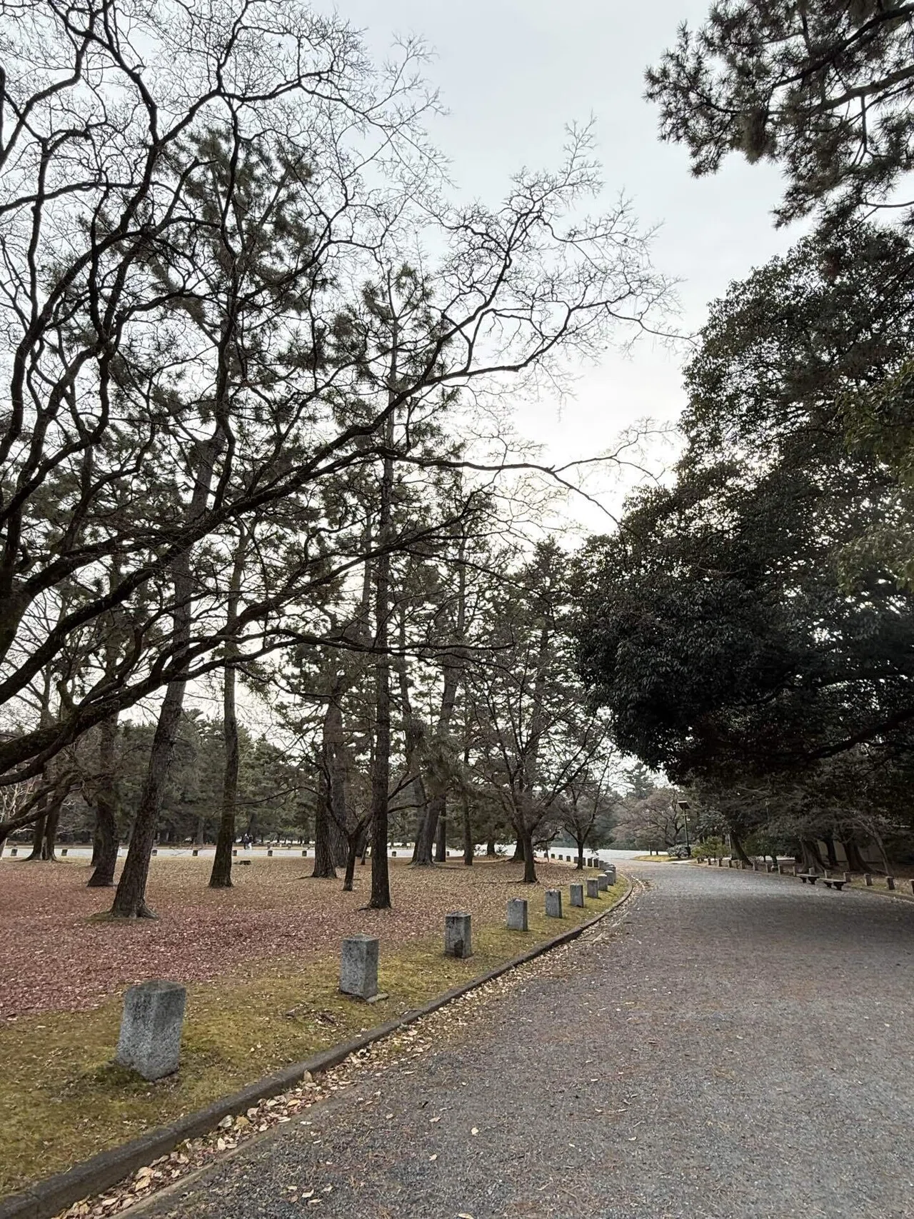 稀少 大型本 厳島神社 能装束 京都書院 稀少 大型本 厳島神社 能装束 京都書院 稀少 大型本 厳島神社 能装束