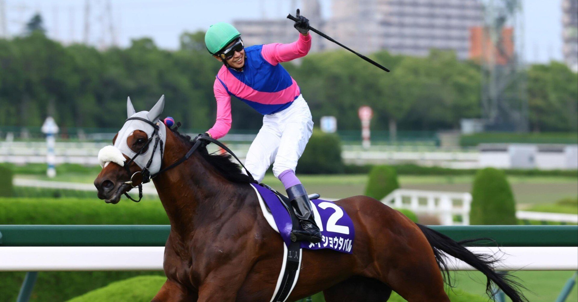 まねき馬　レインボー　第25回秋華賞 Yahoo!オークション -「まねき馬 レインボー」の落札相場・落札価格