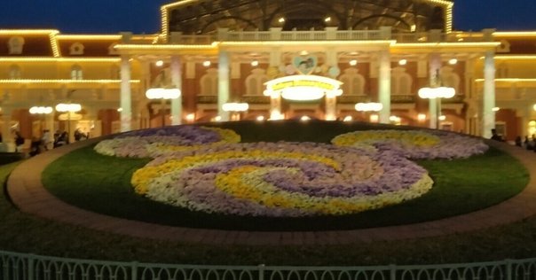 ディズニーランド・パーク ポップアップ・パークツアー｜上杉隼人