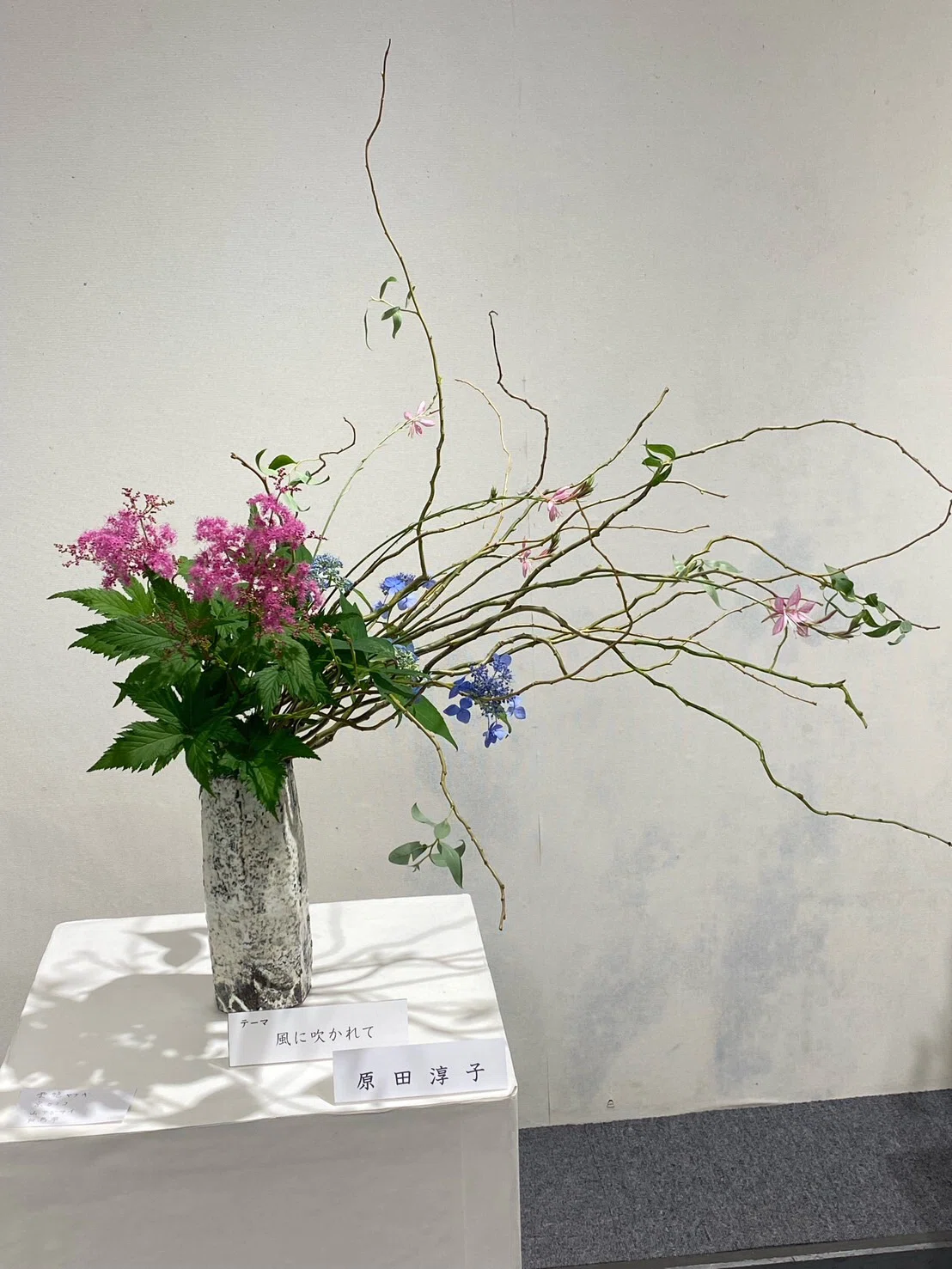いけばな～心の道しるべ(那奈実記者)｜くまモン記者団