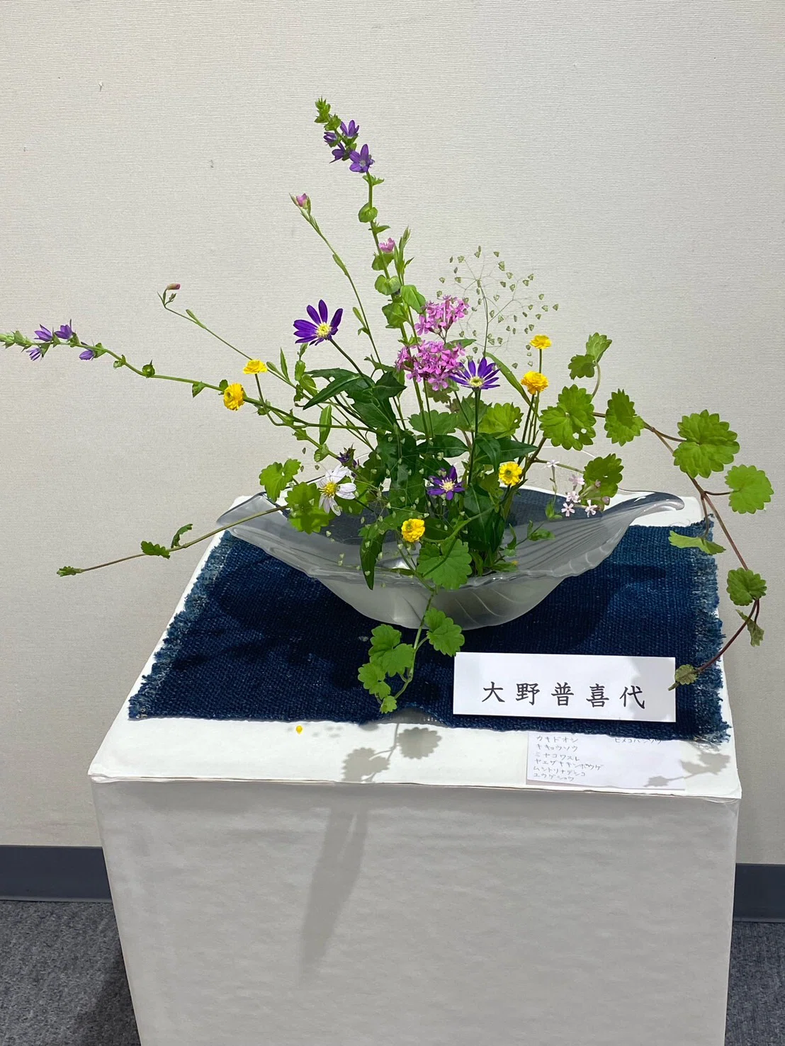 いけばな～心の道しるべ(那奈実記者)｜くまモン記者団