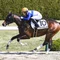 ちひろ@競馬予想