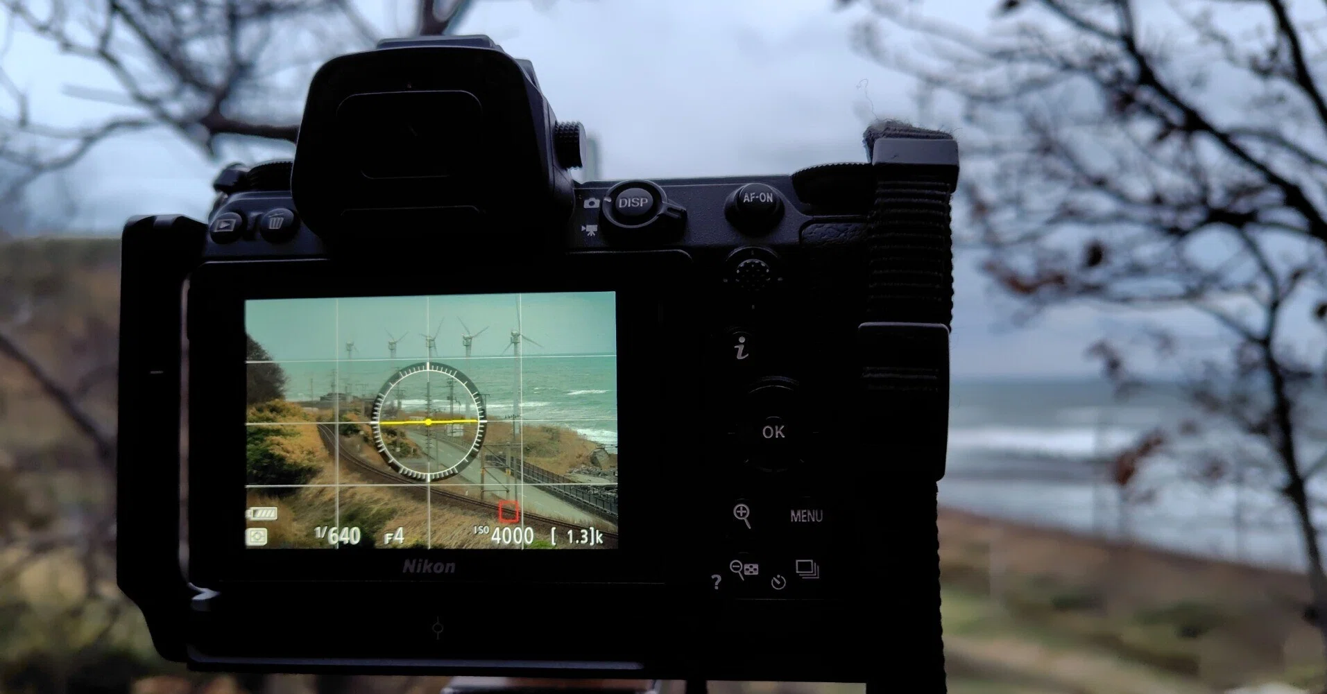 使用機材レビュー Nikon Z6 ~コスパ神機材、実際どうなの~｜さもこう