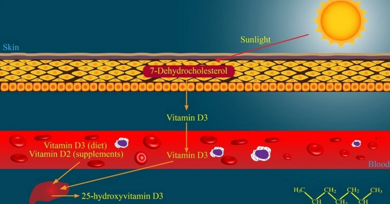 ビタミンDはヘルペスウイルスの治療において医薬品よりも効果的