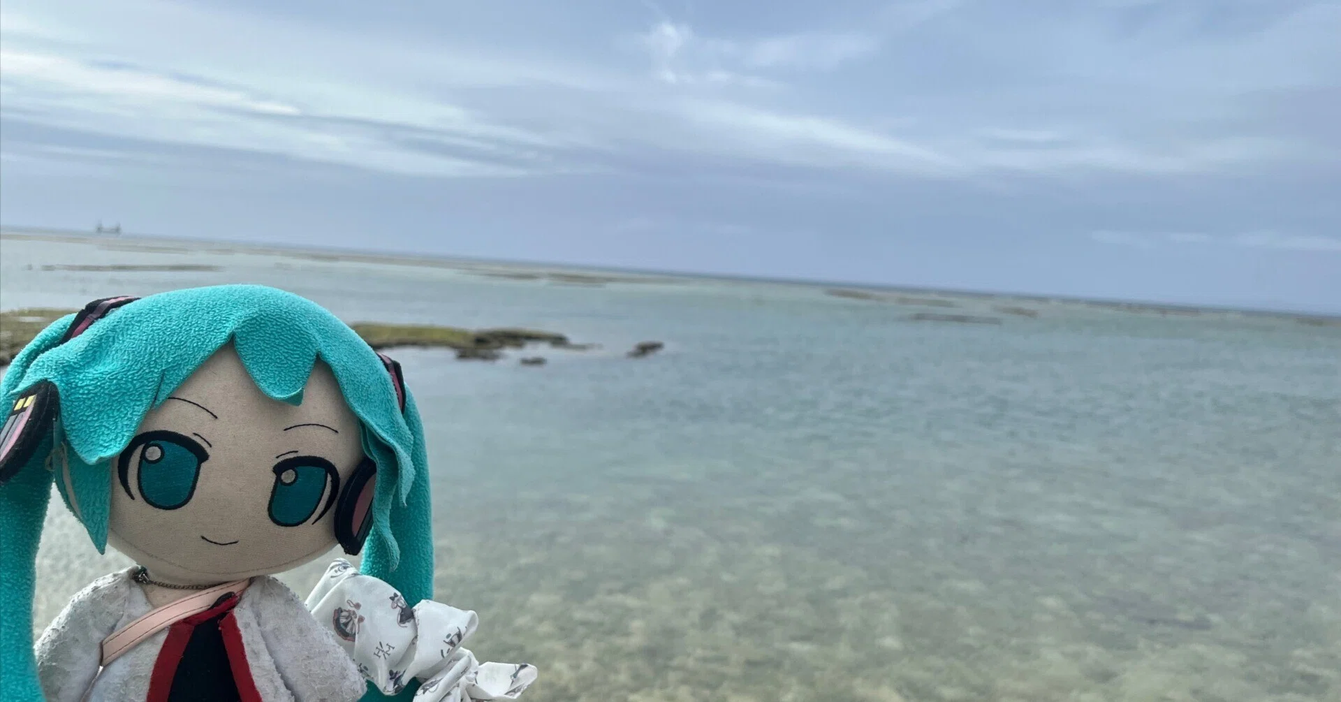 初音ミクJPツアー2025 Bloomingを終えて。｜ゆきちゃん
