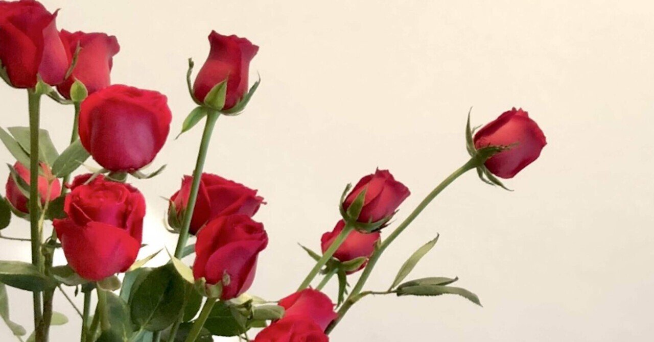 朝比野文雄　10号薔薇 回文】六月の薔薇🥀｜りゅう＿回文作家