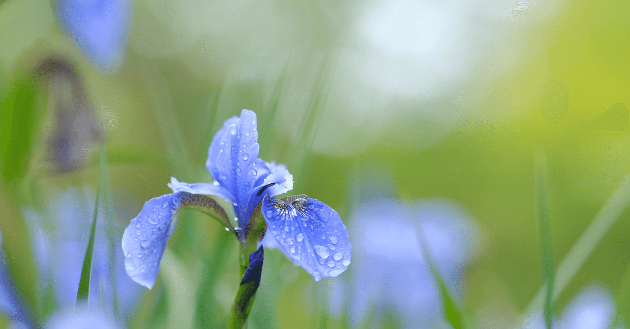 清水玲子原作秘密ファンがドラマ秘密～THE TOP SECRET～を勝手に実況・考察・総括する。｜片倉遼