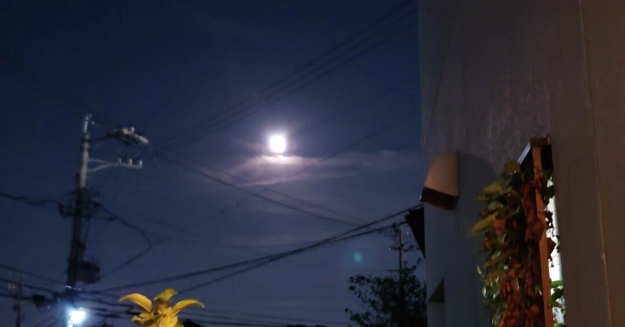 夜の風|たかさば