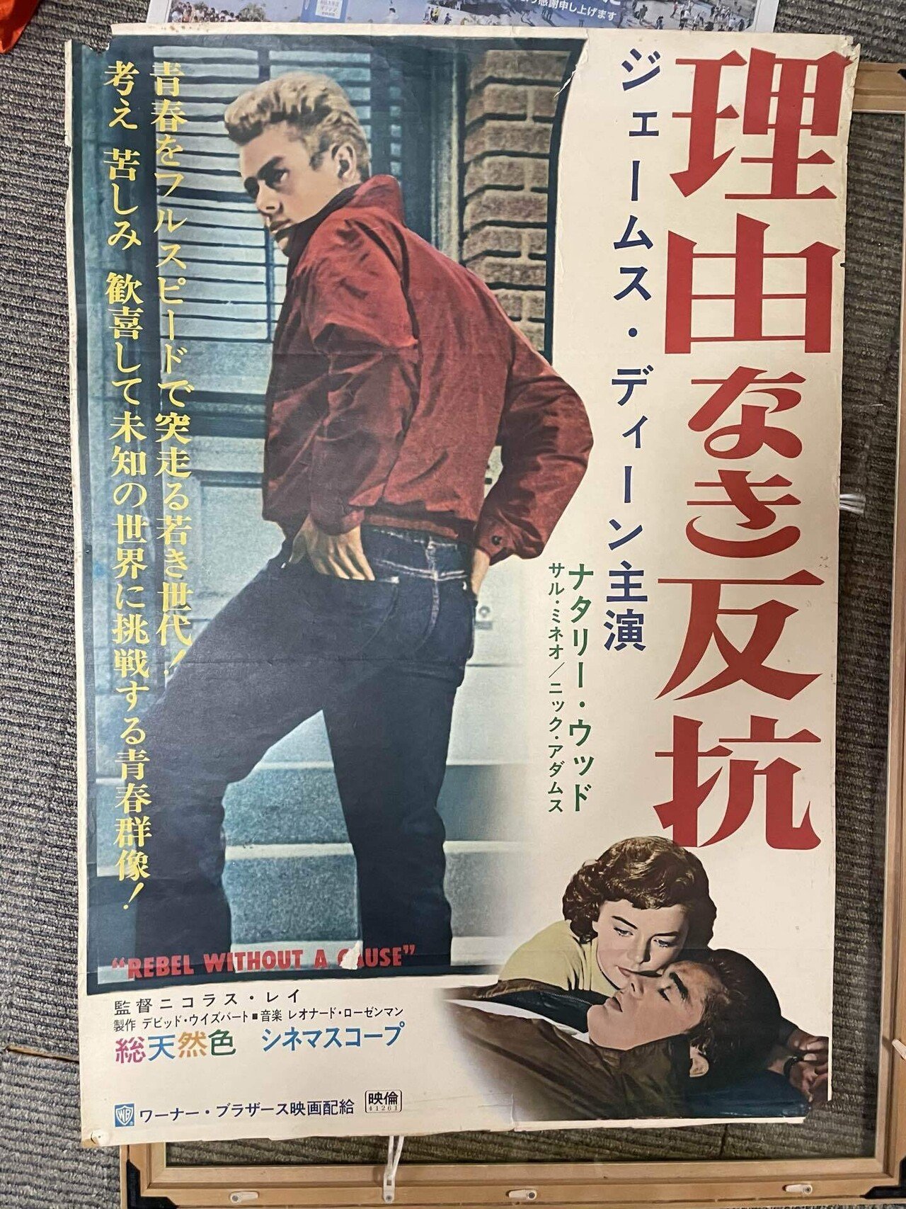 映画ポスターコレクション整理のメモ(1) 「理由なき反抗」｜ymd880