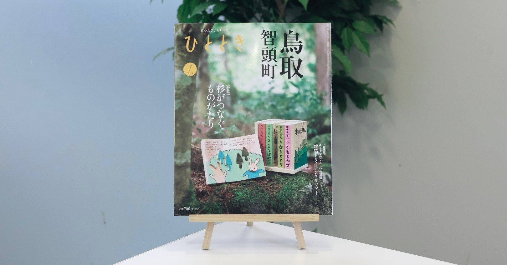 鳥取・智頭町 杉がつなぐものがたり──「ひととき」2025年7月号特集の