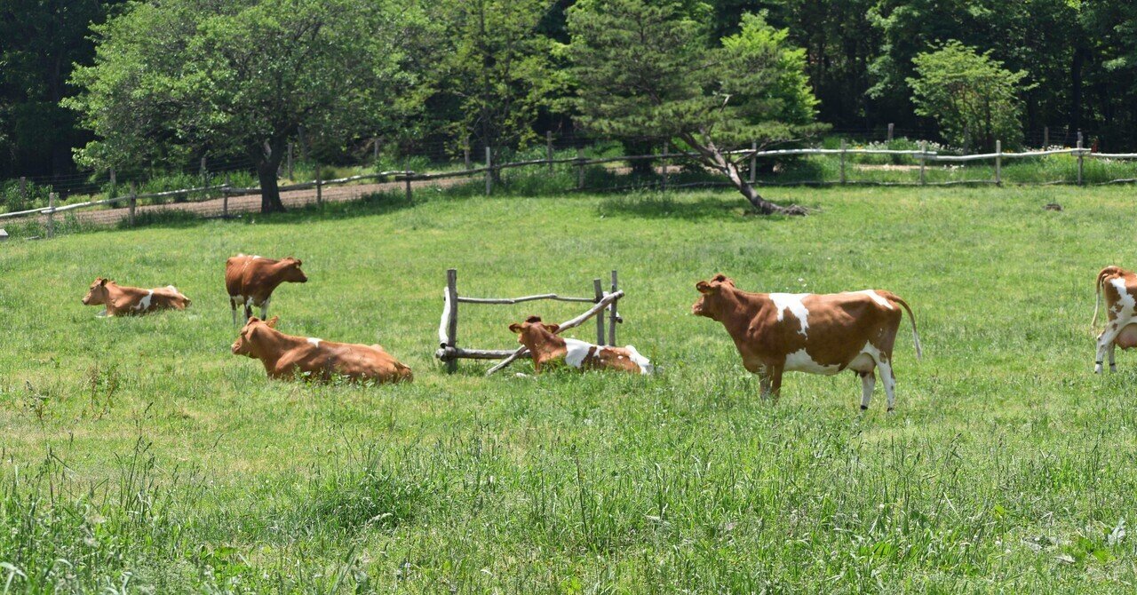 那須高原 南ヶ丘牧場 / Nasu Kogen Minamigaoka Farm[Dairy